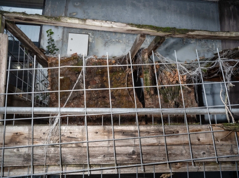 Terrain Vague, Rotterdam