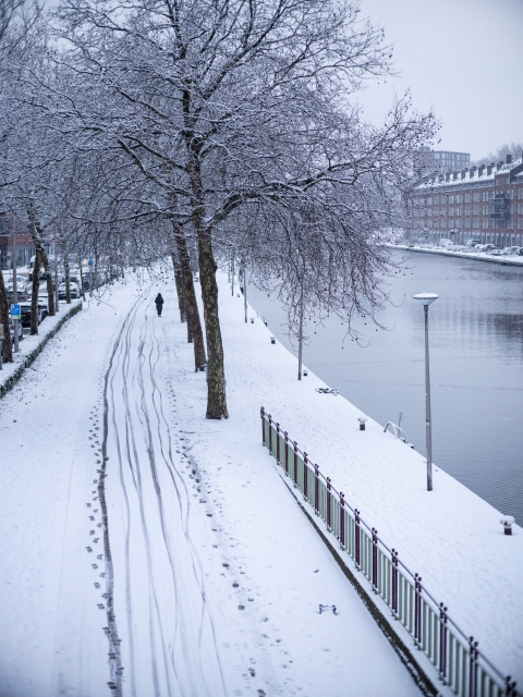 Sneeuw in Rotterdam West